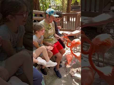 Perez Hilton's Jungle Escape: A Wild Family Adventure Unveiled!